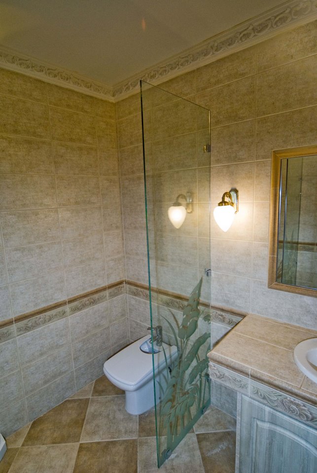  межкомнатная стекло с матовым рисунком зеленый оттенок --в туалете